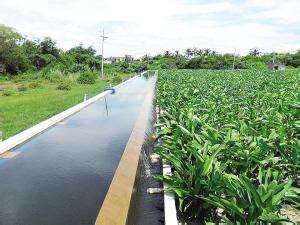 生活污水处理后人工湿地系统